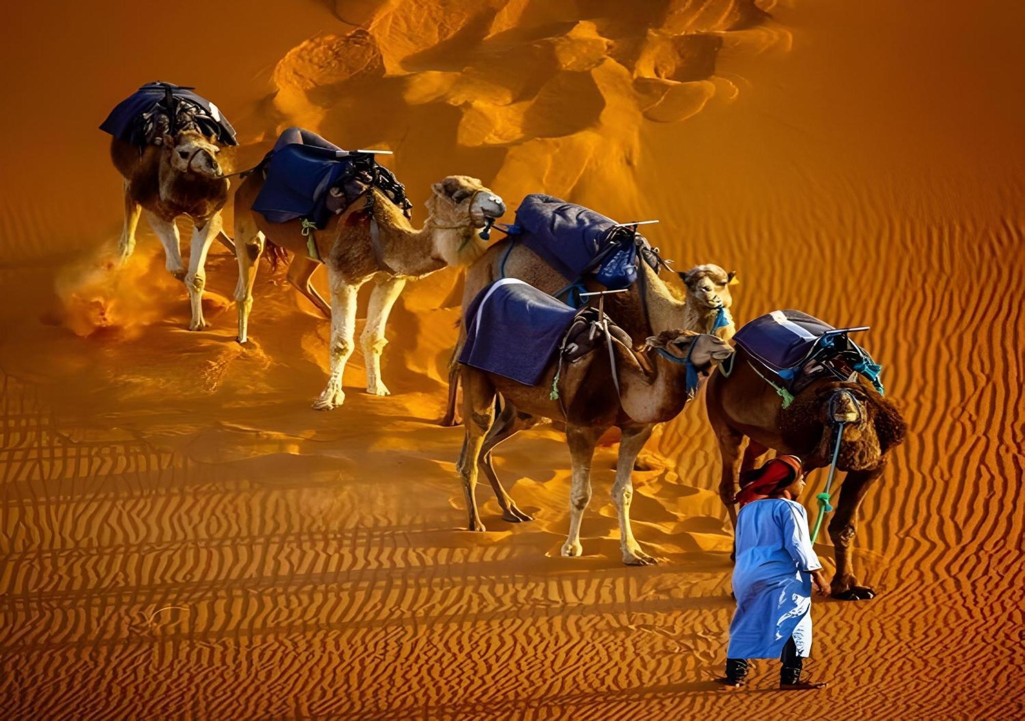 Merzouga Lovely Luxury Camp المظهر الخارجي الصورة