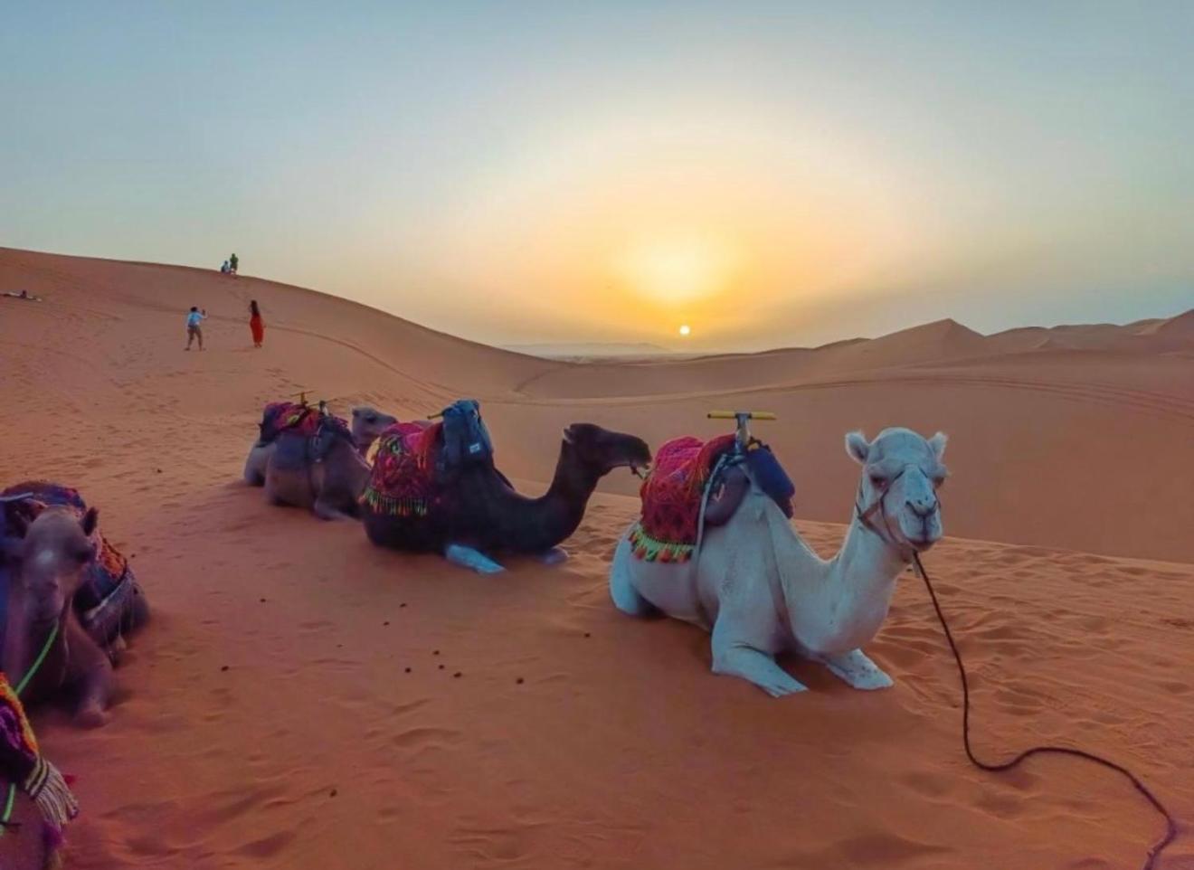 Merzouga Lovely Luxury Camp المظهر الخارجي الصورة